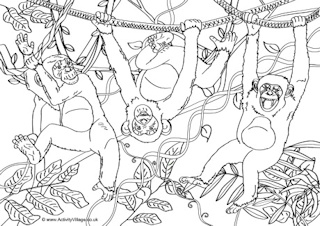 Animal Scene Colouring Pages