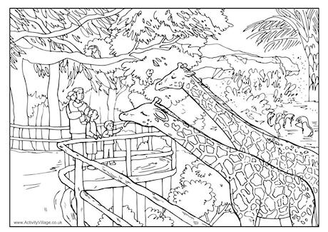 At the zoo colouring page