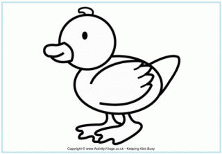 Bird Colouring Pages