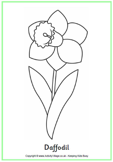 daffodil coloring pages for free - photo #4