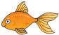 Goldfish activities