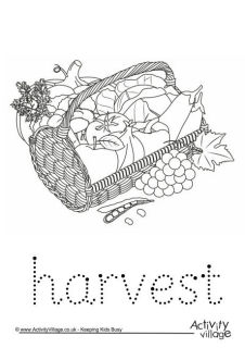 Harvest Worksheets
