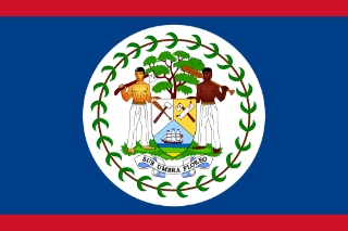 Belize flag printable
