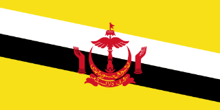 Brunei flag printable