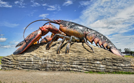 Lobsters at Activity Village