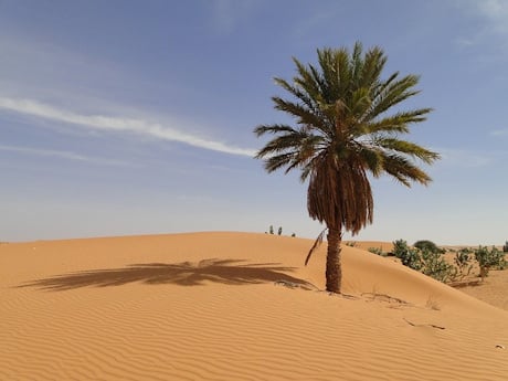Mauritania landscape