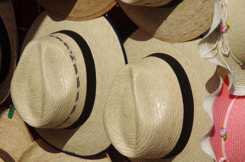 Panama hats - from Ecuador!