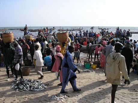 Fishing is an important industry in Senegal
