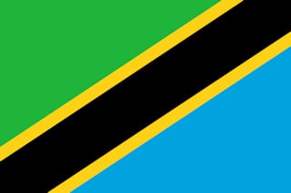 Tanzania flag