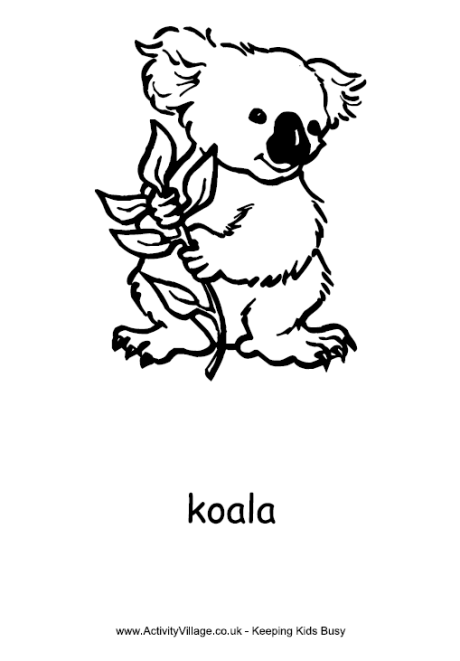 k is for koala bear coloring pages - photo #17