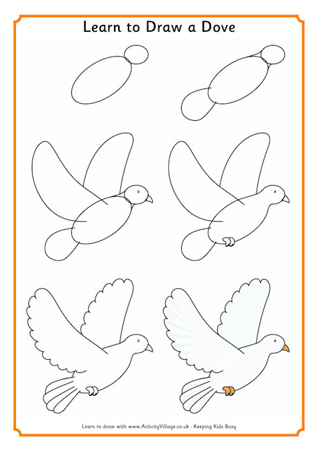 Learn to draw a dove