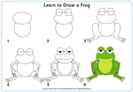 Learn to draw a frog