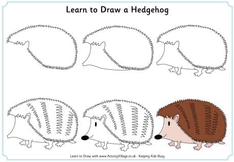 Learn to draw a hedgehog
