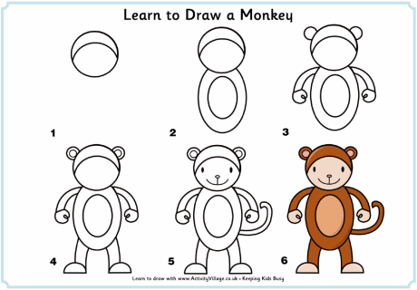 Learn to draw a monkey