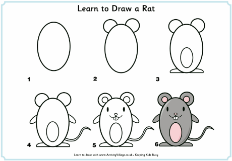 Learn to draw a rat