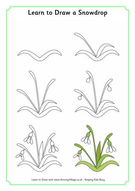Learn to draw a snowdrop