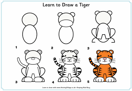 Learn to draw a tiger