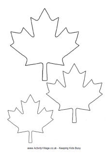 Maple leaf template