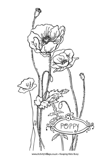 activity village poppy coloring pages - photo #6