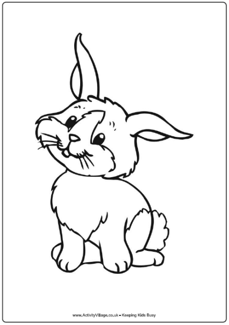 rabbit cartoon coloring pages - photo #6