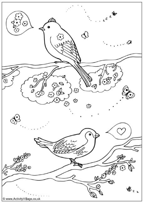 Spring Birds Colouring Page
