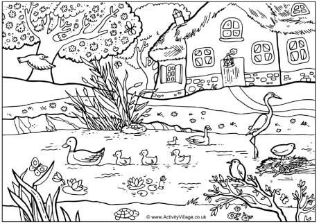 Spring pond colouring page