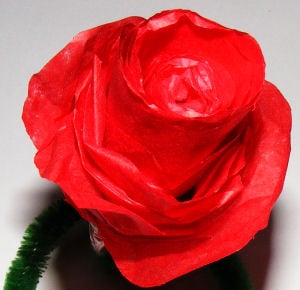 Tissue paper rose, detail
