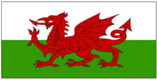 Welsh flag printable, three sizes