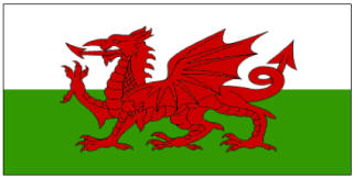 Welsh Flag