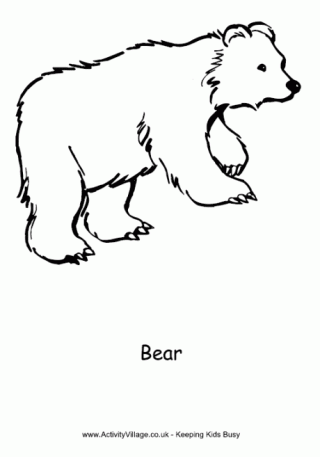 Bear Head Coloring Page Bear Cub Colouring Page
