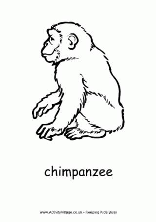 Chimpanzee Outline African Animal Colouring Pages