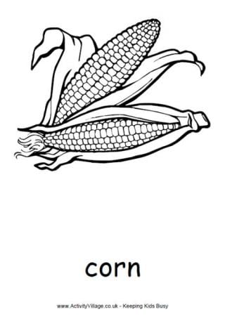 Corn Colouring Page