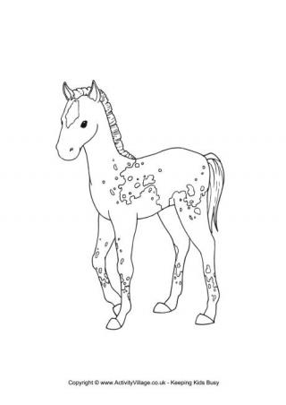 foal colouring horse drawing colour horses farm animal animals getdrawings activityvillage activity village explore
