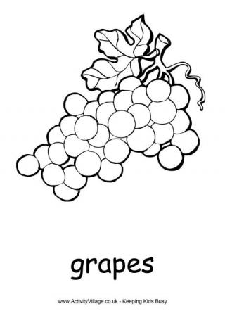 Grapes Colouring Page