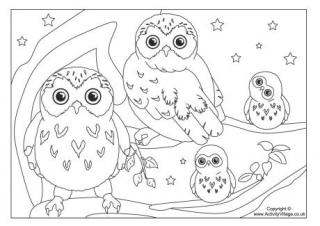 Baby Owl Coloring Pages To Print Printable Bird Colouring Pages for Kids
