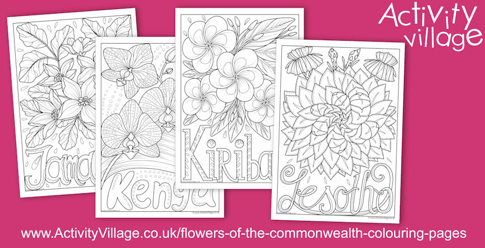 4 New Flowers of the Commonwealth Colouring Pages
