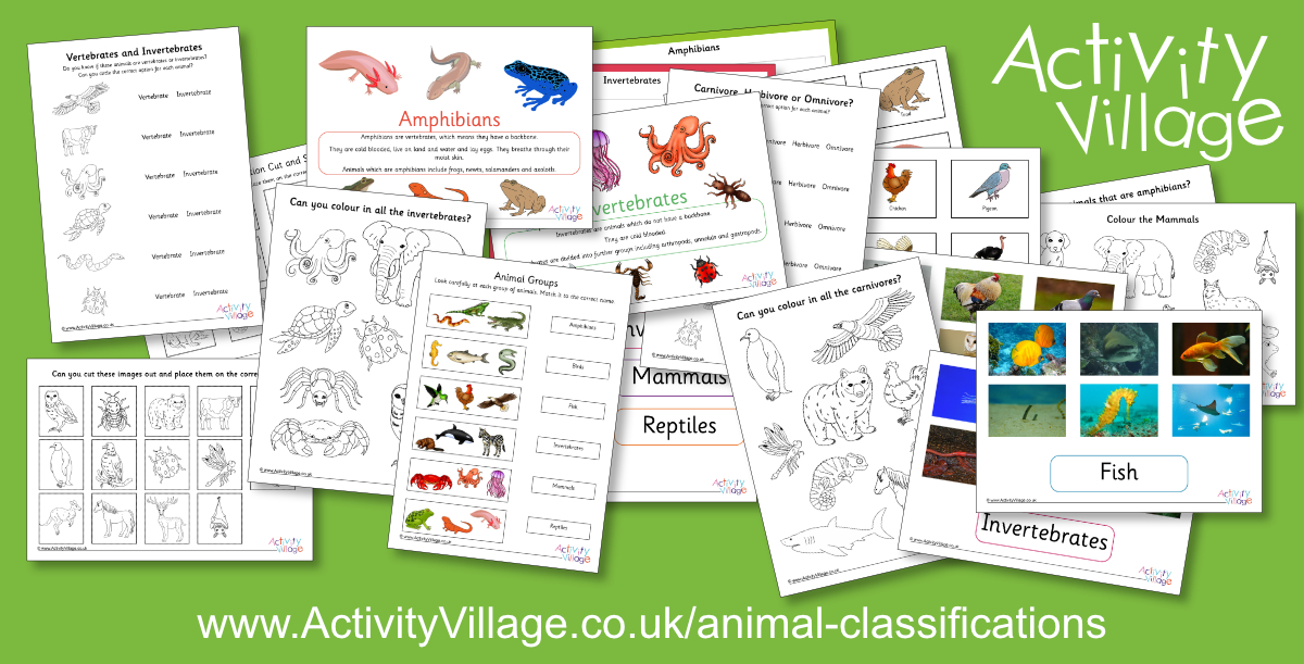 A New Animal Classifications Collection A New Animal Classifications Collection
