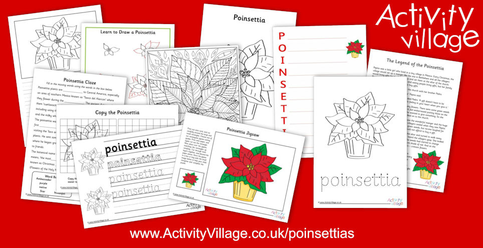 A New Collection of Poinsettias!