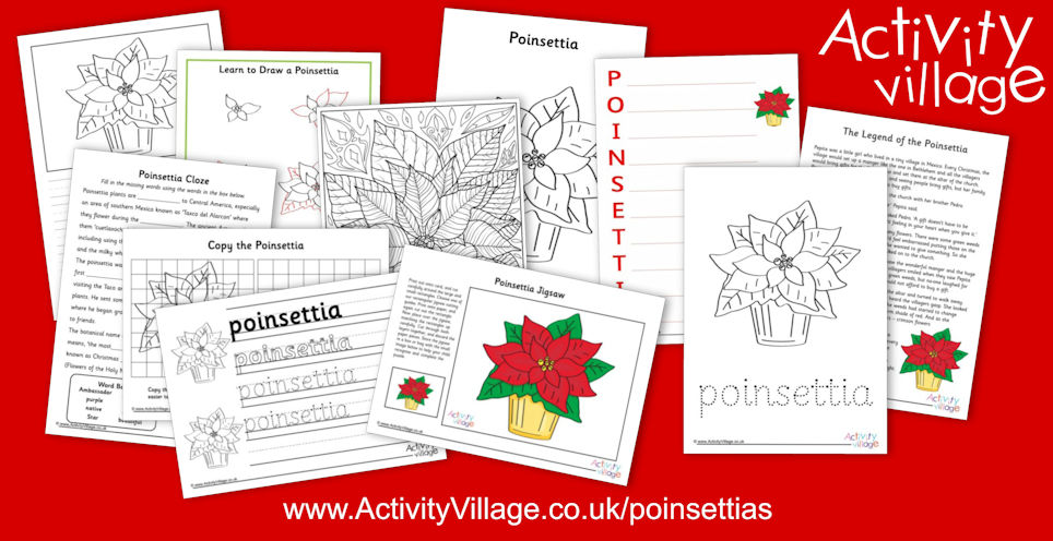A New Collection of Poinsettias! A New Collection of Poinsettias!