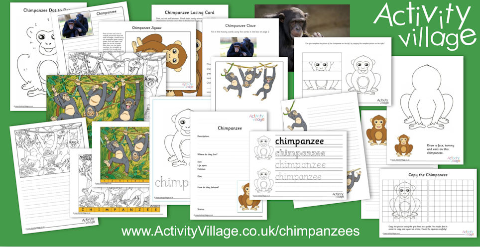 Adding to our Chimpanzees Collection Adding to our Chimpanzees Collection