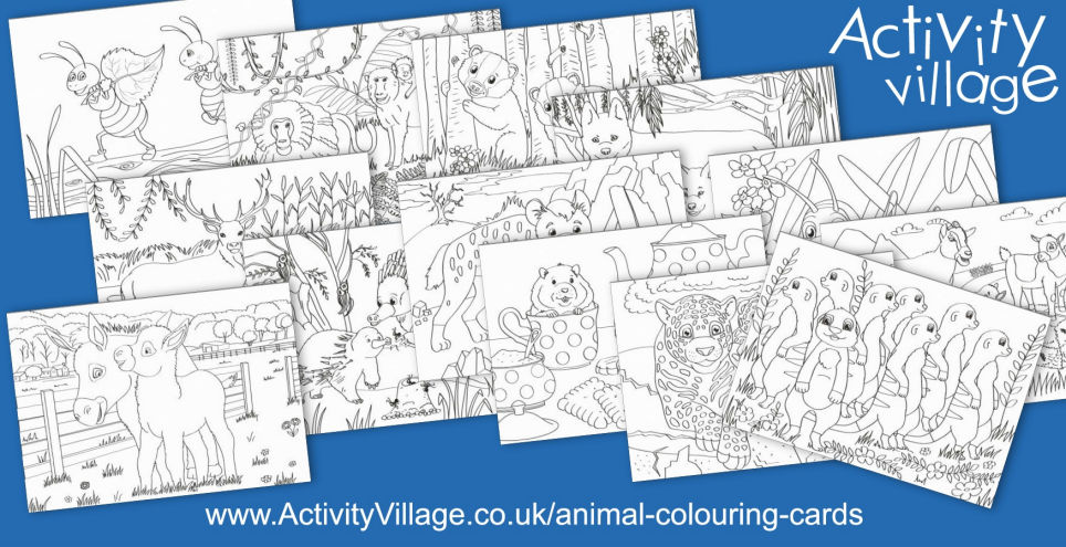 Adding to our Collection of Animal Colouring Cards Adding to our Collection of Animal Colouring Cards