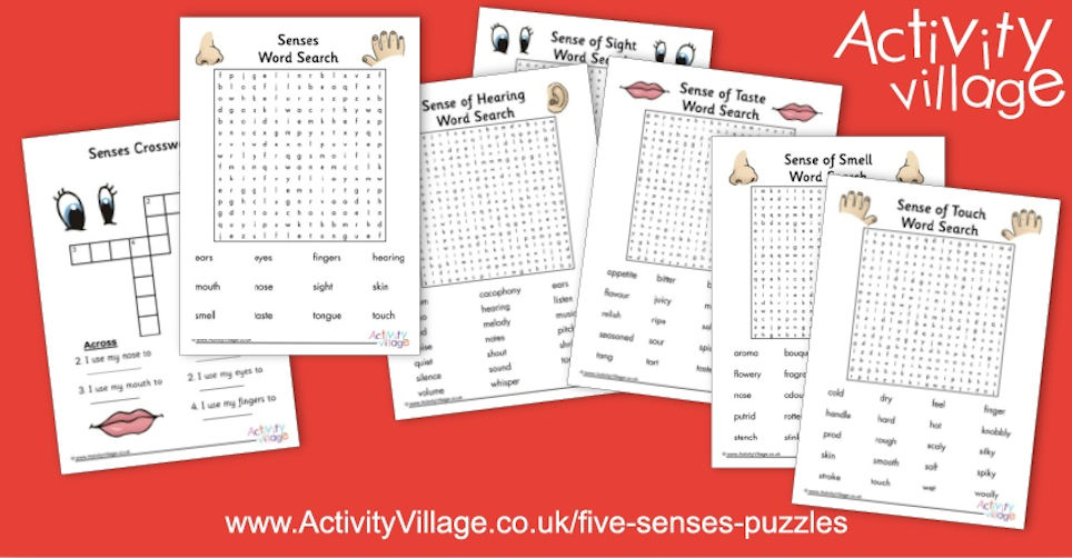 New Puzzles For Our Five Senses Topic New Puzzles For Our Five Senses Topic