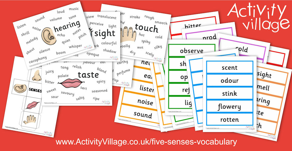 New Five Senses Vocabulary Resources New Five Senses Vocabulary Resources