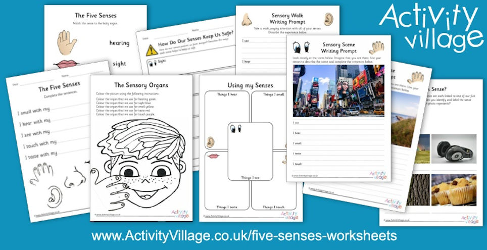 Five Senses Worksheets Five Senses Worksheets
