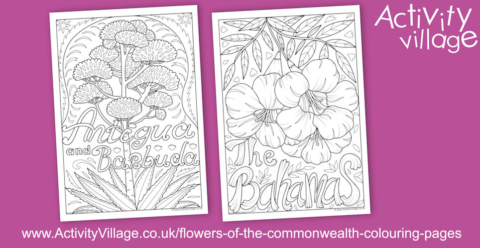 Introducing our New Series of Adult Colouring Pages...