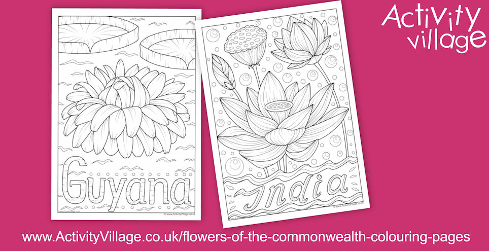 The Flowers of Guyana and India - to Colour The Flowers of Guyana and India - to Colour