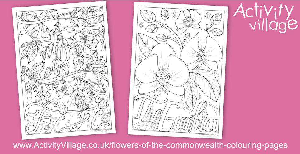New Flowers of the Commonwealth Colouring Pages New Flowers of the Commonwealth Colouring Pages