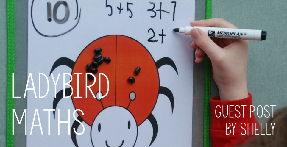 Guest Post - Ladybird Maths