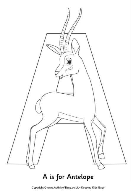 A is for antelope colouring page