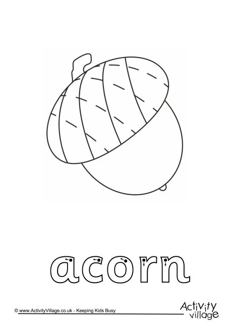 Acorn Finger Tracing Acorn Finger Tracing
